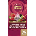 Thee Lipton Exclusive bosvruchten 25x2gr