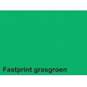 Kopieerpapier Fastprint A4 160gr grasgroen 50vel