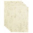 Kopieerpapier Papicolor A4 90gr 12 vel marble ivoor