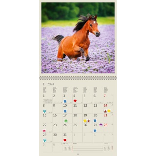 Kalender 2026 Helma 365 30x30cm paarden