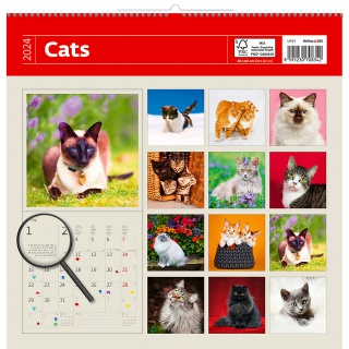 Kalender 2026 Helma 365 30x30cm katten