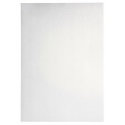 Kopieerpapier Papicolor A4 120gr 6vel metallic parelwit