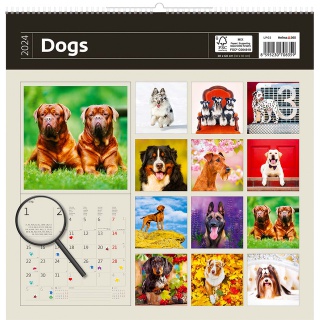 Kalender 2026 Helma 365 30x30cm honden