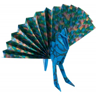 Vouwblaadjes Folia 80gr 15x15cm 50 vel 2-zijdig 10 wildlife designs
